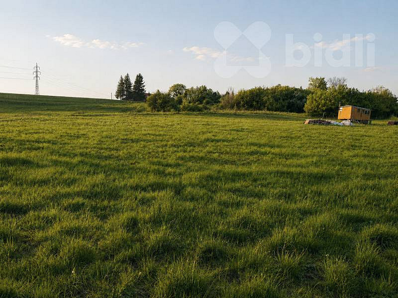 Prodej louky 3 165 m² – fotografie 2
