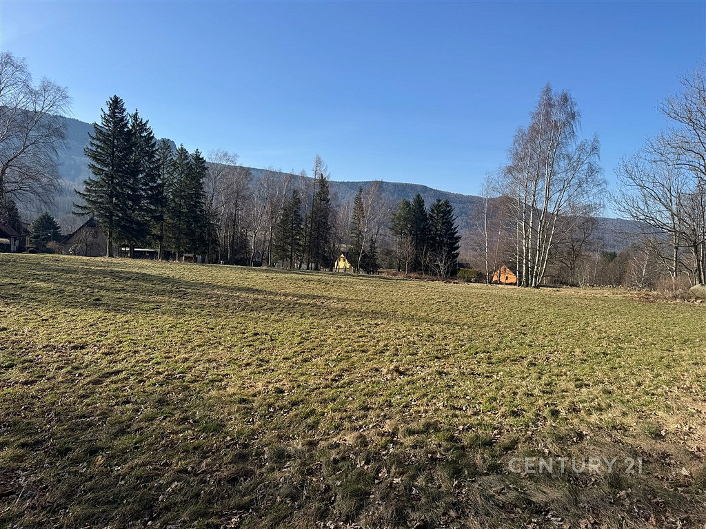 Prodej pozemku 3 194 m² — photo 4