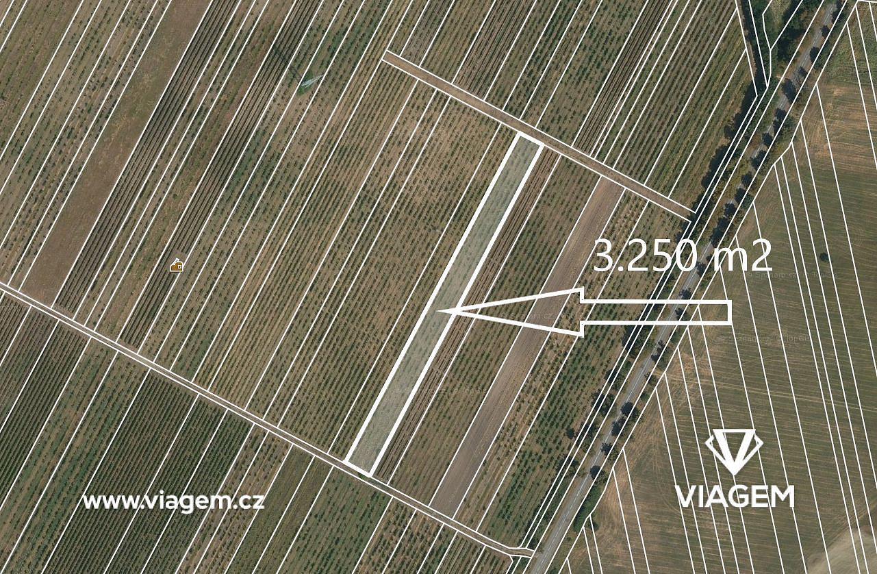 Prodej pole 3 250 m²