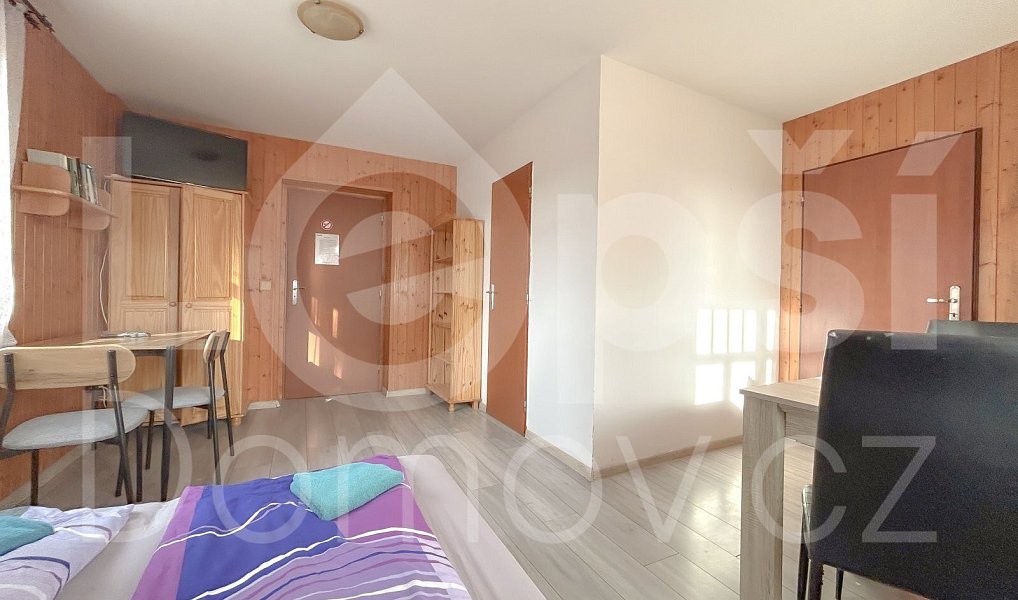 Prodej ubytovacího objektu 330 m², Zlaté Hory – náhled fotky 35