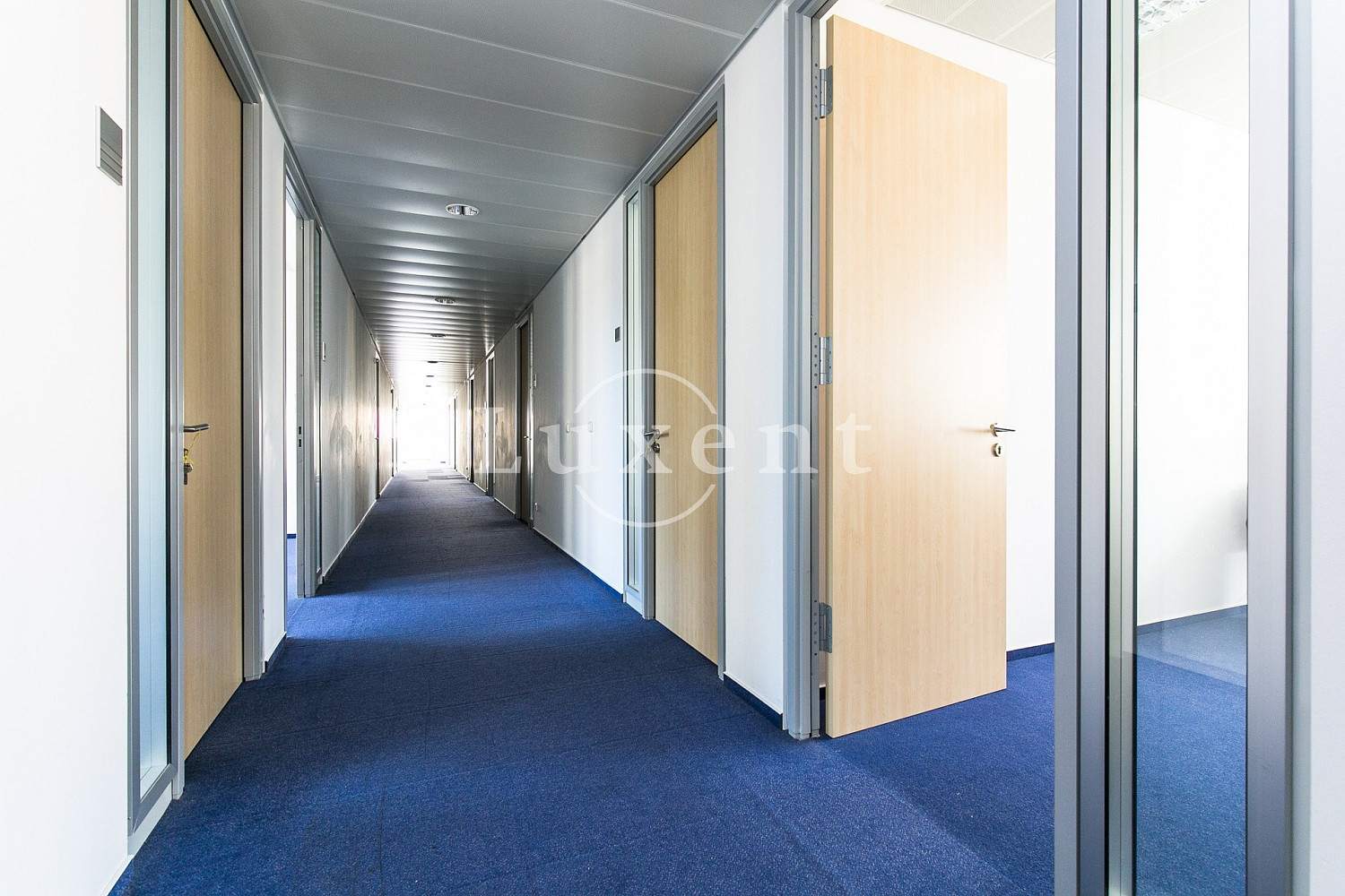 Pronájem kanceláře 393 m² – fotografie 2