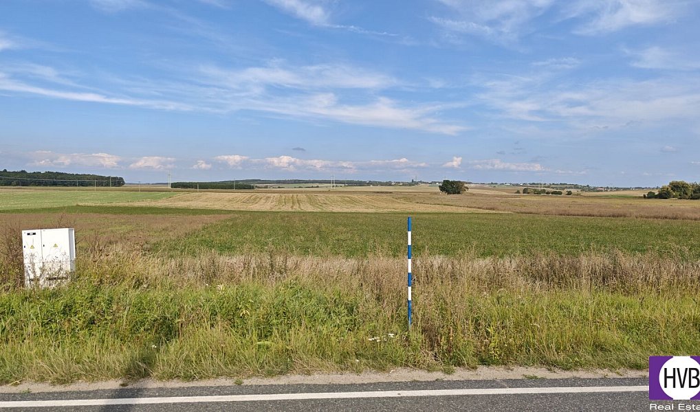Prodej stavebního pozemku 3 767 m², Bělušice – náhled fotky 2
