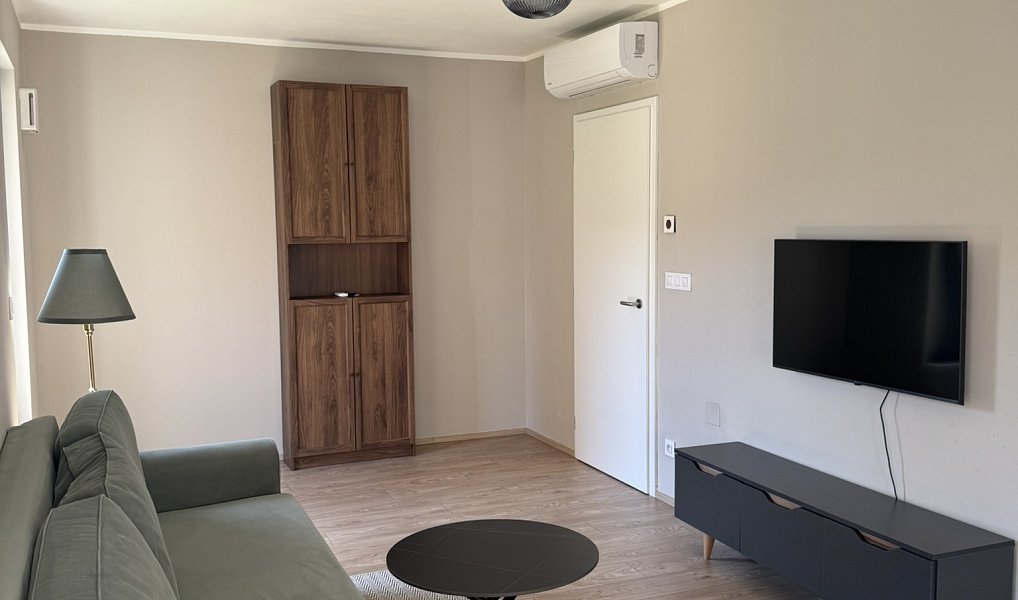 Pronájem bytu 2+kk 57 m², Brno – náhled fotky 3