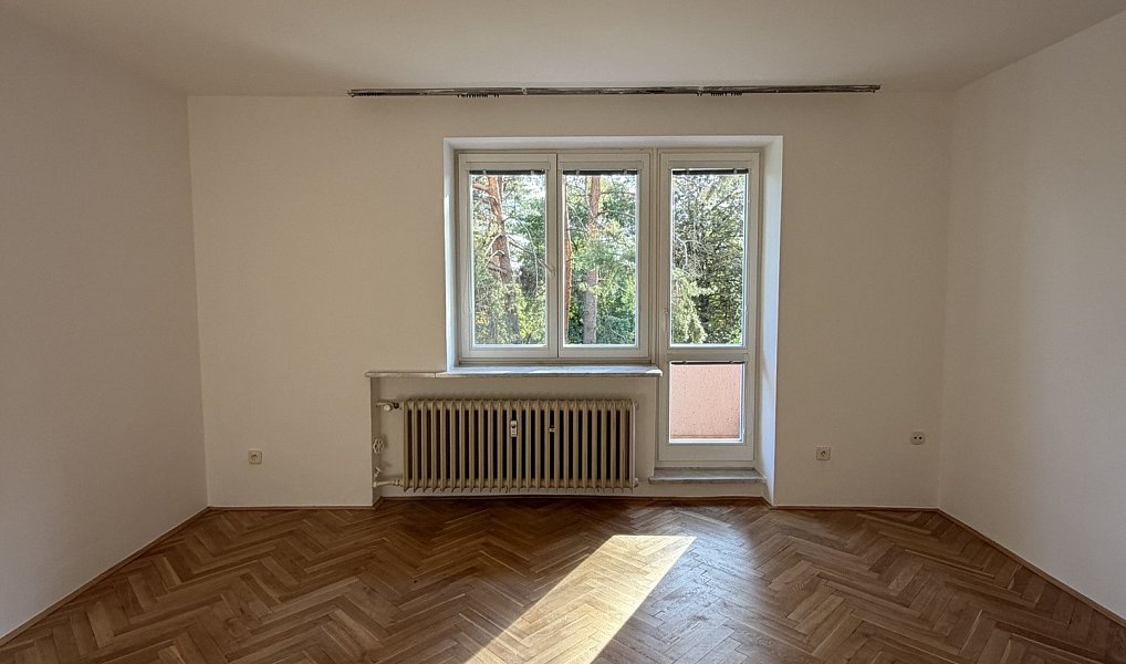 Pronájem bytu 1+1 38 m², Brno – náhled fotky 3