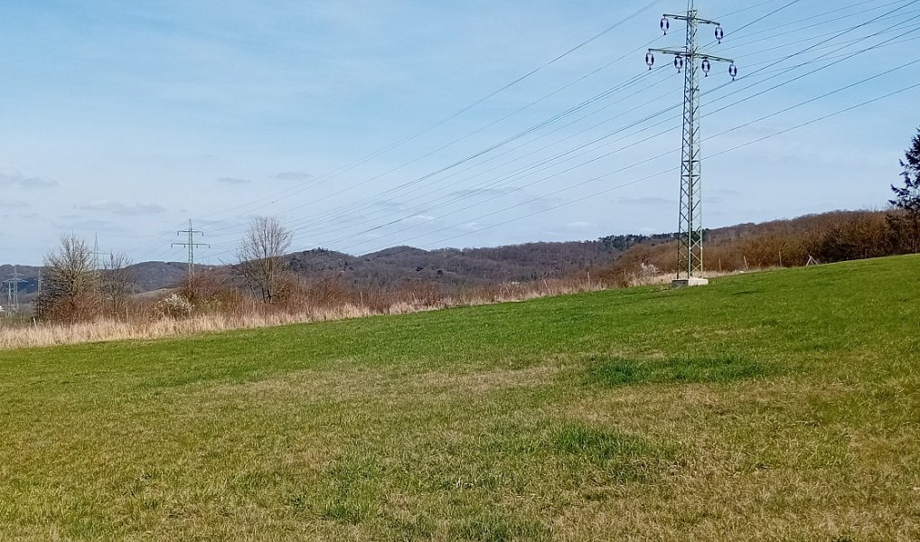 Prodej louky 4 400 m², Vráž – náhled fotky 5