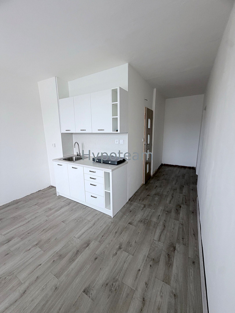 Pronájem bytu 1+1 42 m² – fotografie 4