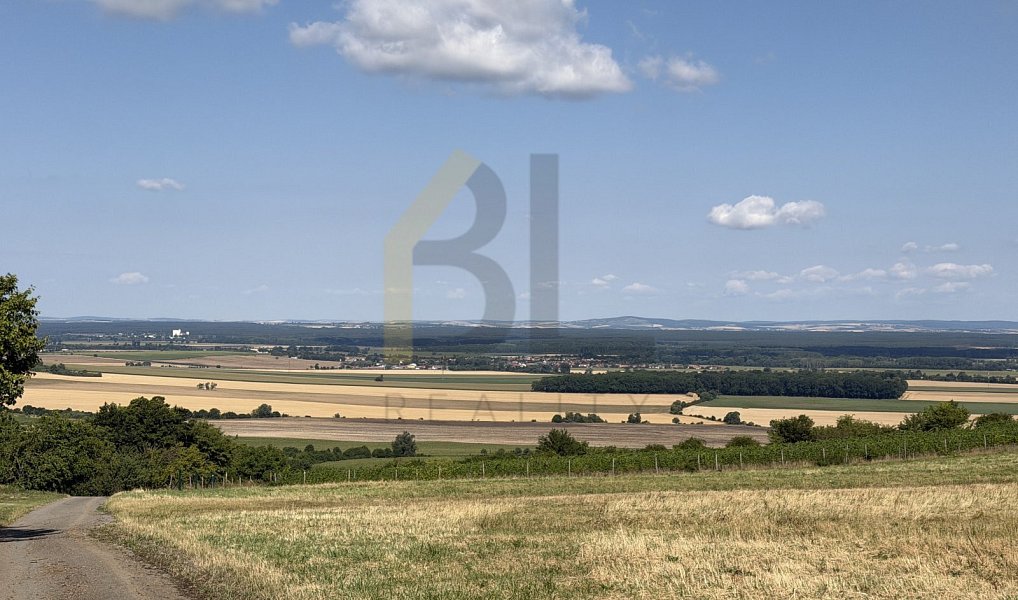 Prodej zahrady 3 867 m², Strážnice – náhled fotky 3