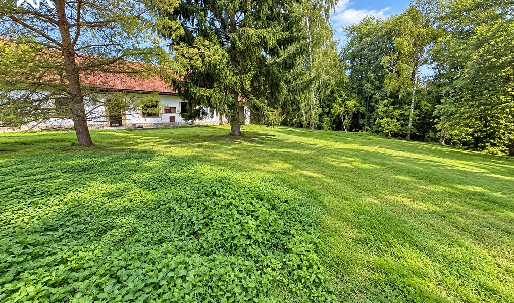 Prodej domu 650 m² s pozemkem 1 881 m², Žiželice – náhled fotky 5