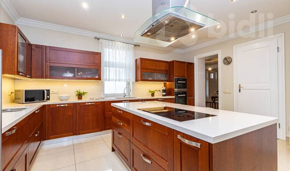 Prodej domu 485 m² s pozemkem 2 421 m², Vodochody – náhled fotky 5