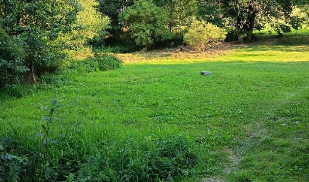 Prodej stavebního pozemku 3 506 m², Světlá Hora – náhled fotky 7
