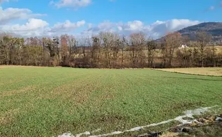 Pronájem zahrady 800 m², Náměstí, Štramberk, okres Nový Jičín