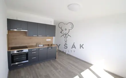 Pronájem bytu 1+kk 21 m², U Trojice, České Budějovice - České Budějovice 3