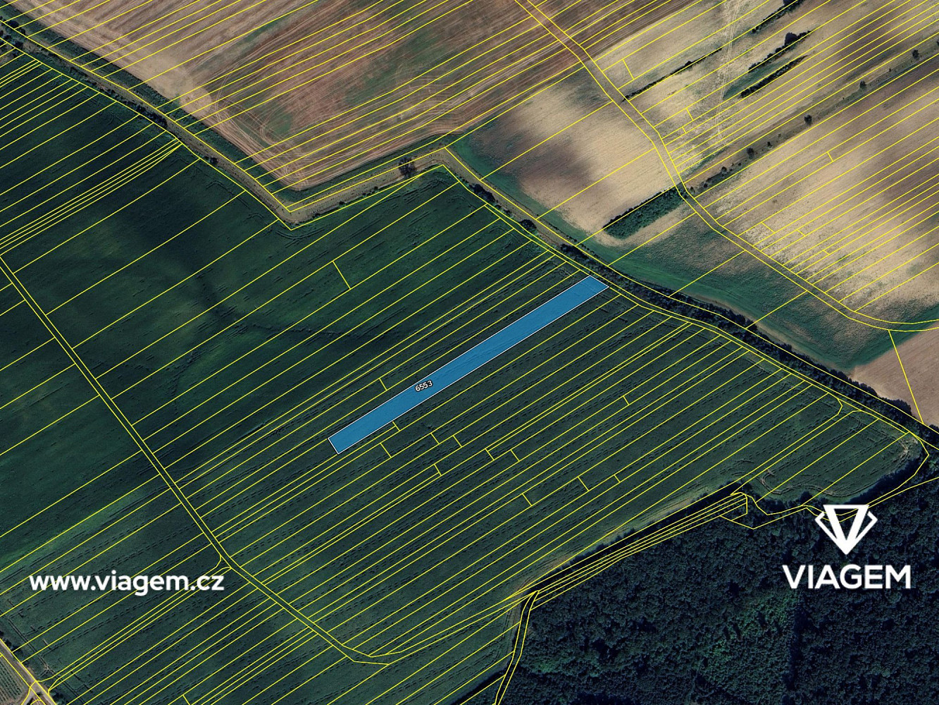 Prodej pole 6 419 m² – fotografie 4