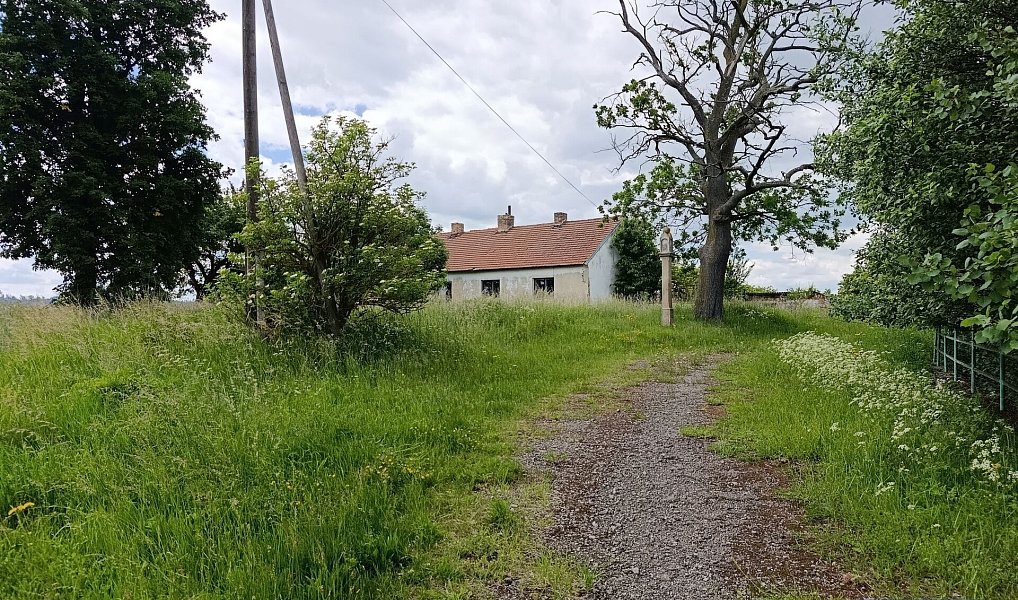 Prodej zemědělského objektu 2 020 000 m², Pavlov – náhled fotky 13