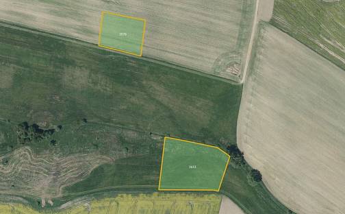 Prodej louky 12 071 m², Pavlov, okres Jihlava