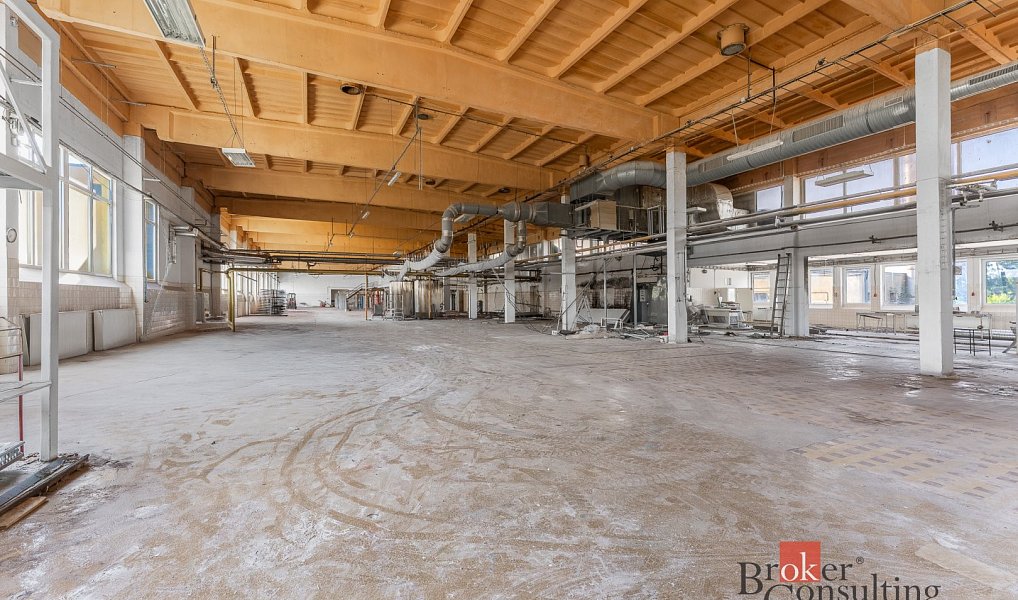 Pronájem skladovacích prostor 2 520 m², Jihlava – náhled fotky 5