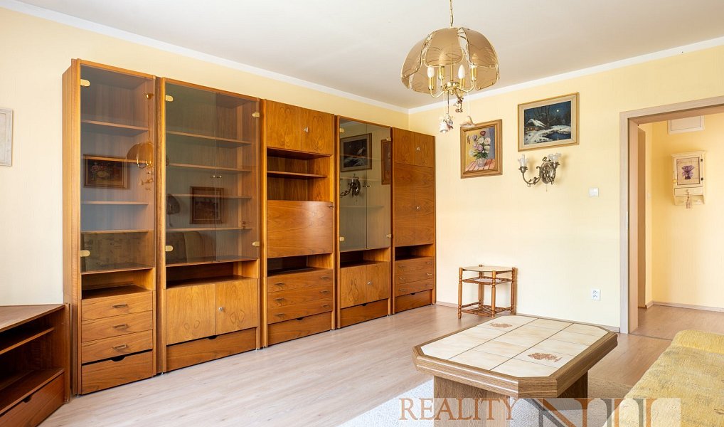 Prodej domu 225 m² s pozemkem 92 m², Plzeň – náhled fotky 12
