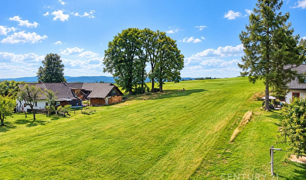Prodej stavebního pozemku 1 832 m², České Petrovice – náhled fotky 3