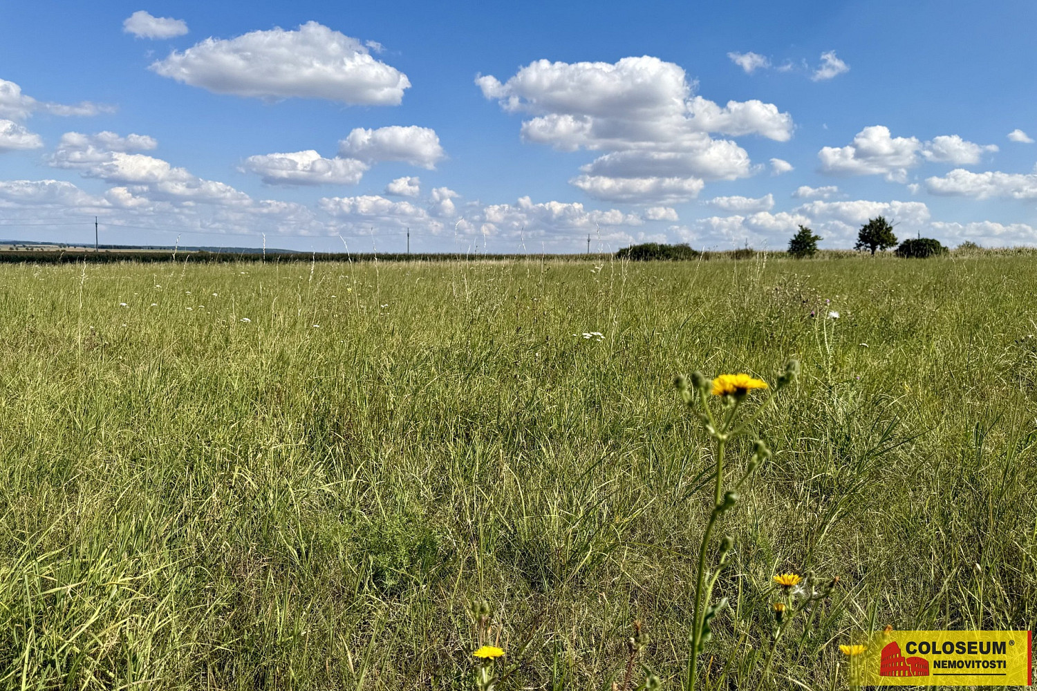 Prodej komerčního pozemku 8 168 m²