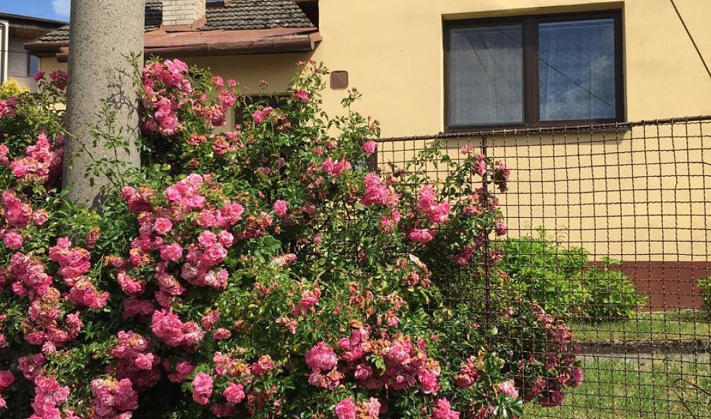 Prodej chaty/chalupy 70 m² s pozemkem 306 m², Jaroměřice – náhled fotky 29