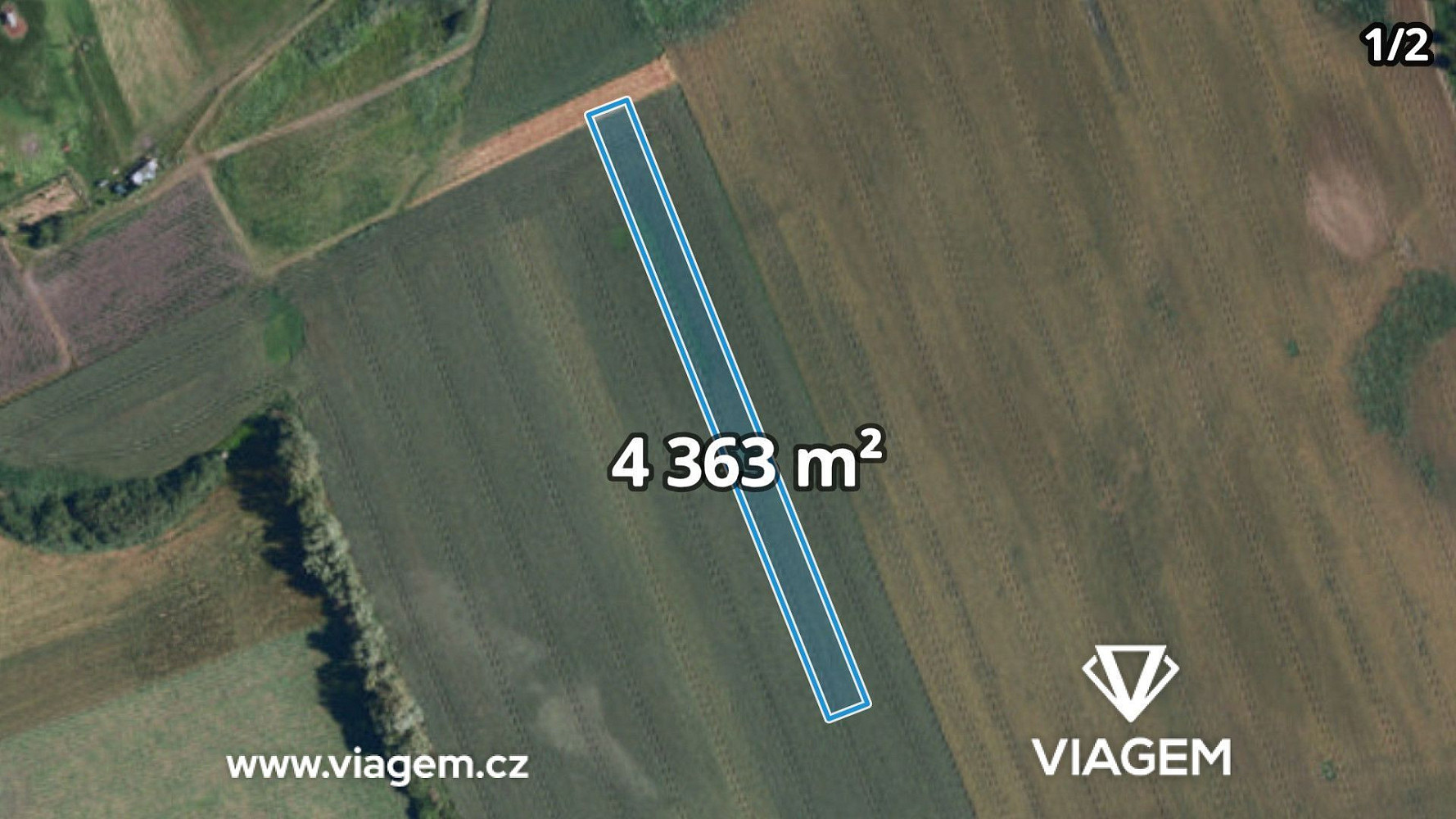 Prodej pole 1 703 m²