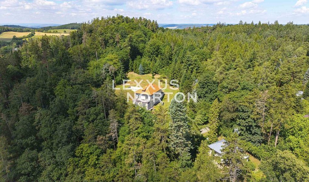 Prodej domu 266 m² s pozemkem 4 339 m², Slapy – náhled fotky 10