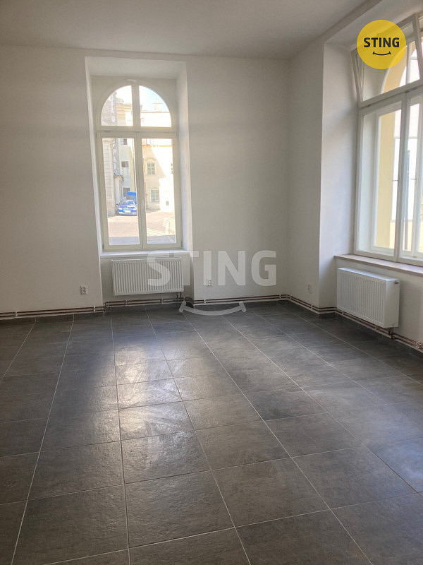 Pronájem bytu 1+1 63 m² — photo 3
