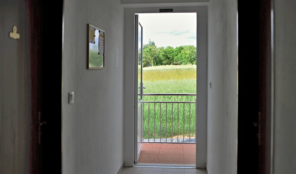 Pronájem bytu 1+kk 25 m², Olomouc – náhled fotky 15