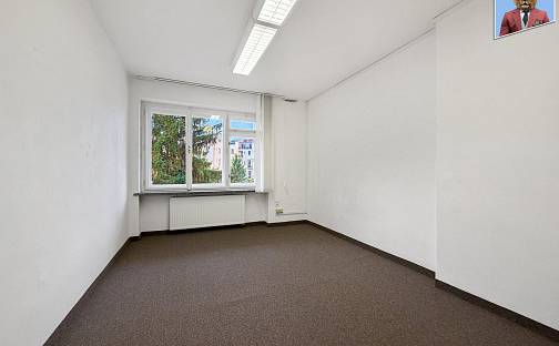 Pronájem bytu 3+kk 72 m², Jaselská, Brno - Veveří