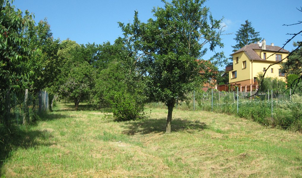Prodej stavebního pozemku 720 m², Jalubí – náhled fotky 5