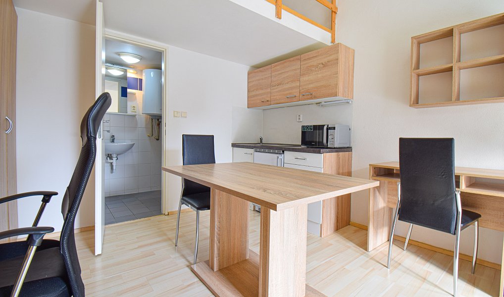Pronájem bytu 1+kk 21 m², Brno – náhled fotky 2