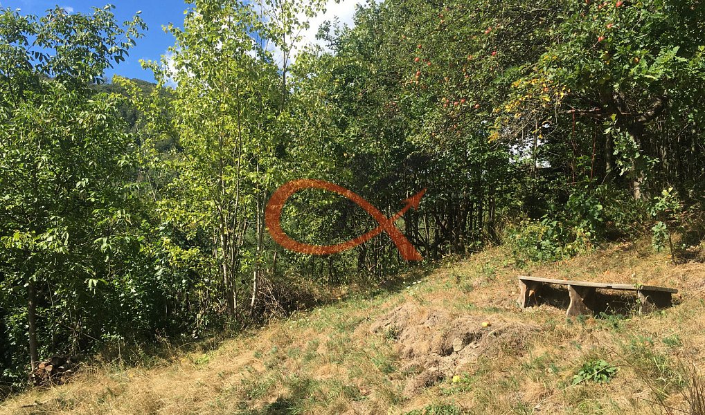 Prodej domu 150 m² s pozemkem 6 125 m², Rožnov pod Radhoštěm – náhled fotky 5