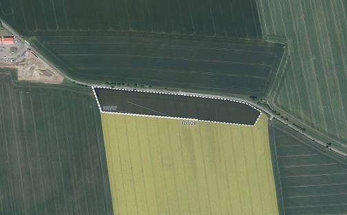 Prodej pole 10 023 m², Jičín - Moravčice