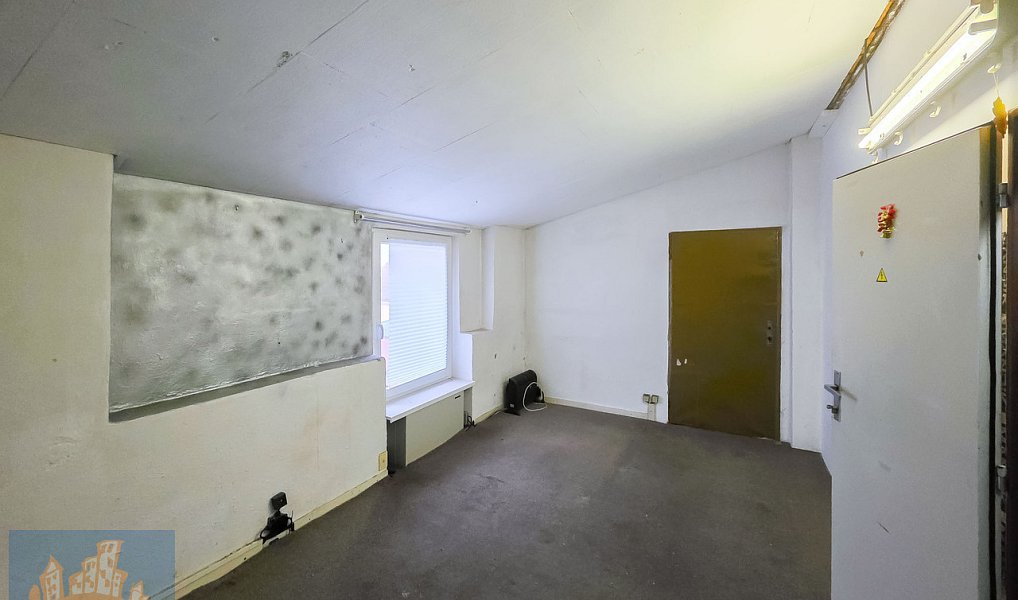 Pronájem výrobních prostor 220 m², Hostomice – náhled fotky 16