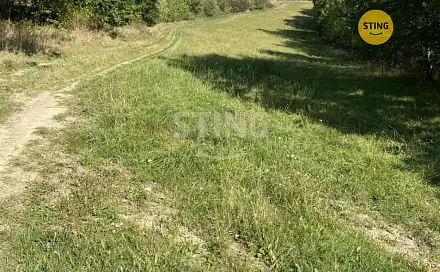 Prodej lesa 8 429 m², Pavlov, okres Šumperk