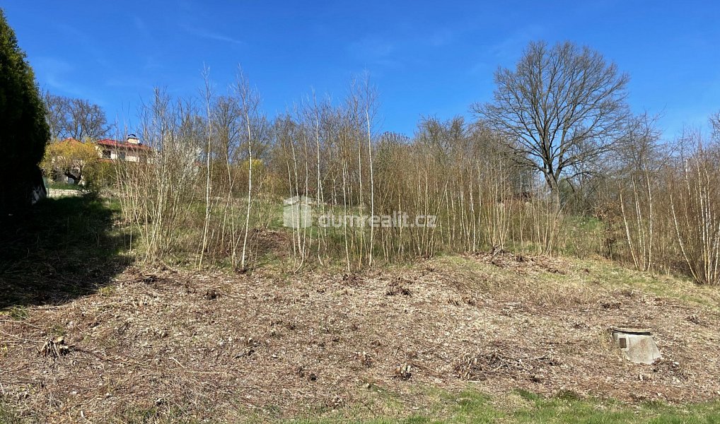 Prodej stavebního pozemku 1 431 m², Cheb – náhled fotky 9