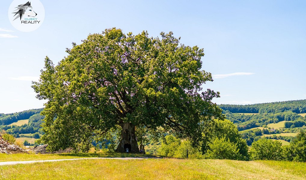 Prodej stavebního pozemku 2 069 m², Horní Lhota – náhled fotky 20