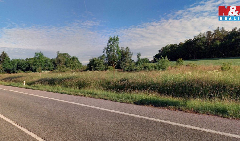 Prodej komerčního pozemku 11 187 m², Dřevěnice – náhled fotky 3