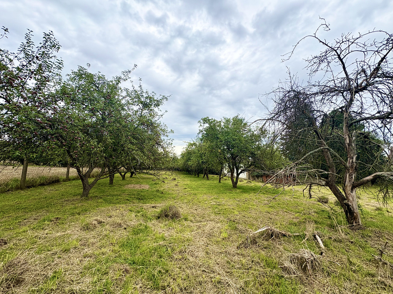 Prodej domu 90 m² s pozemkem 2 878 m² – fotografie 2
