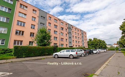 Prodej bytu 2+1 54 m², Kozinova, Ústí nad Labem - Střekov