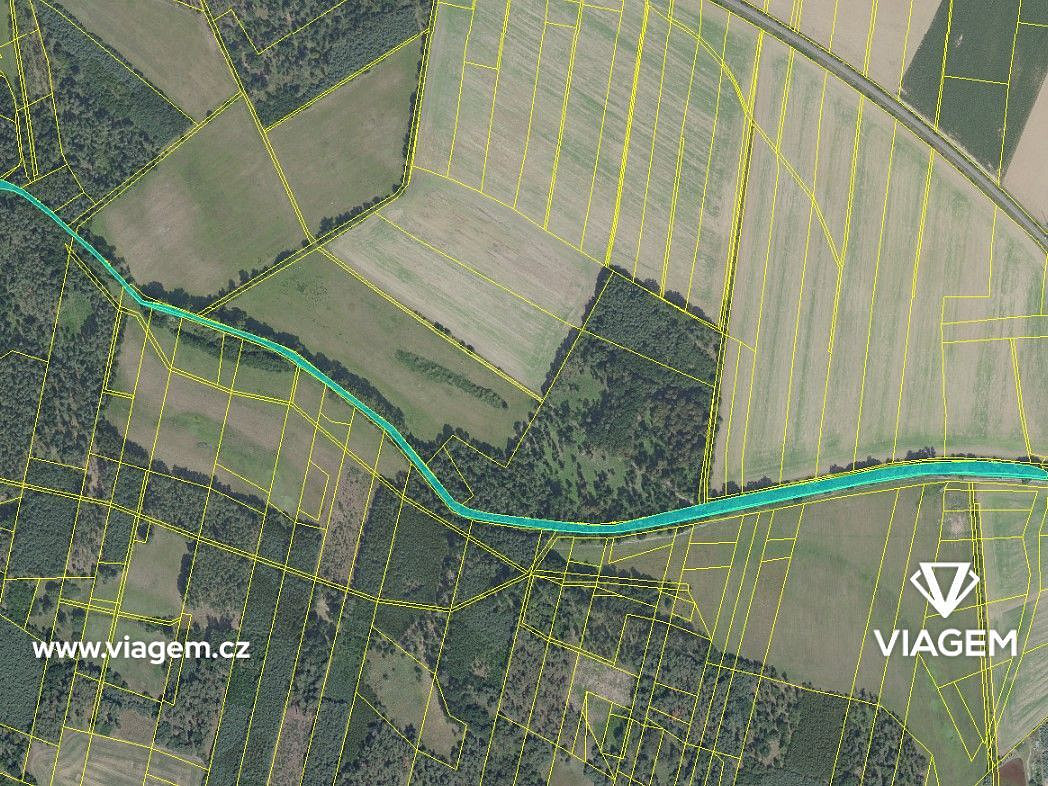 Prodej lesa 1 999 m² – fotografie 5
