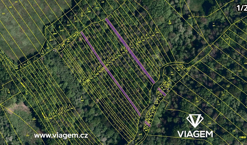 Prodej lesa 4 861 m², Kelníky – náhled fotky 4