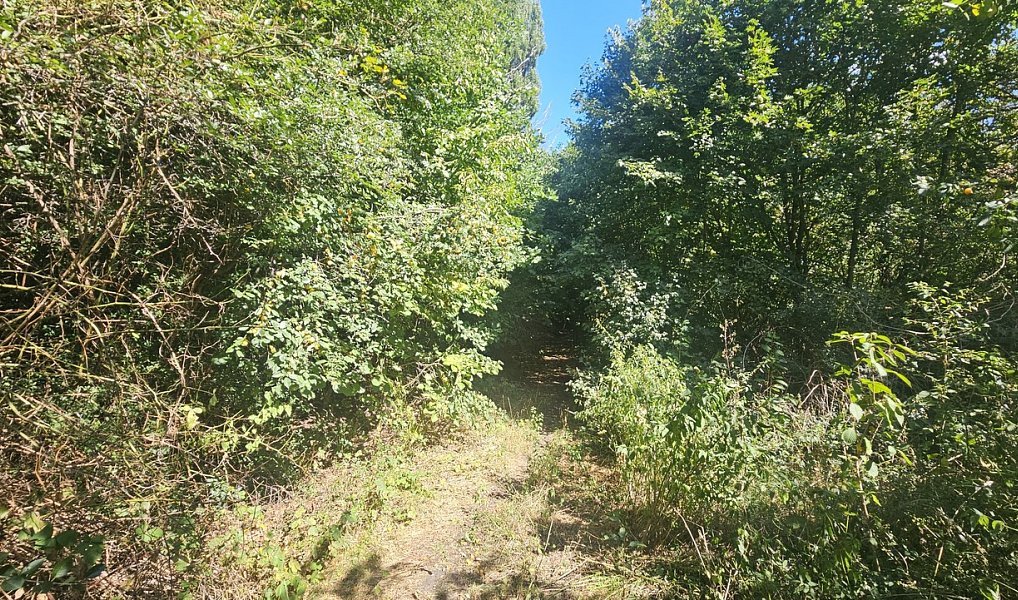 Prodej stavebního pozemku 5 391 m², Ústí nad Labem – náhled fotky 10