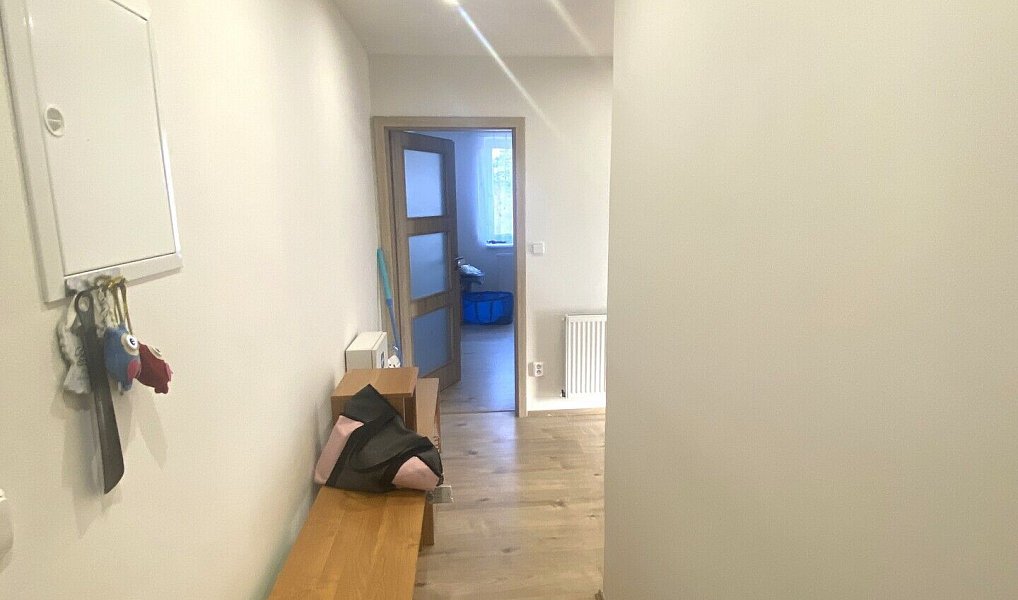 Prodej bytu 2+kk 42 m², Bzová – náhled fotky 5