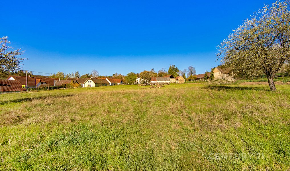 Prodej stavebního pozemku 5 613 m², Soběšice – náhled fotky 13