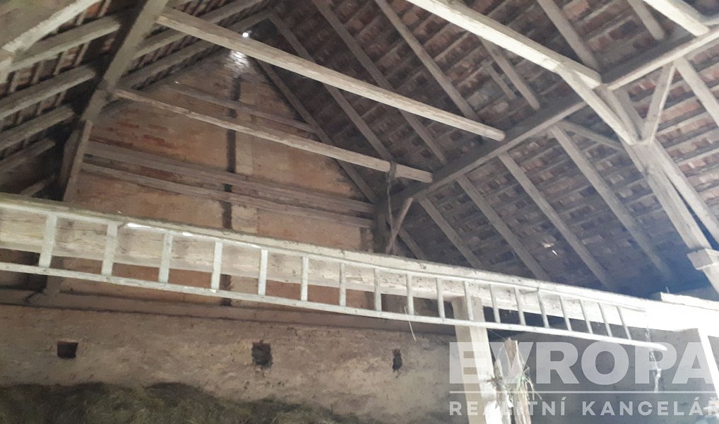 Prodej domu 109 m² s pozemkem 4 156 m², Líšťany – náhled fotky 12