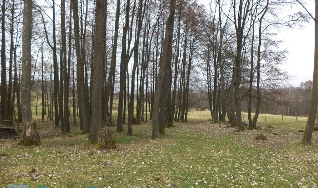 Prodej stavebního pozemku 1 221 m², Dolní Nivy – náhled fotky 4