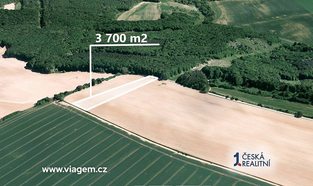Prodej pole 3 700 m² – fotografie 2