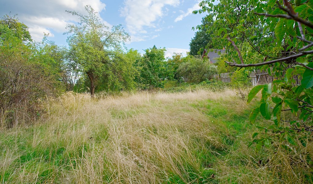Pronájem zahrady 1 624 m², Plzeň – náhled fotky 17