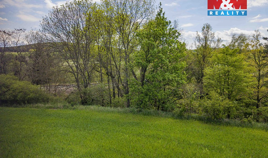 Prodej lesa 909 m², Trhové Dušníky – náhled fotky 3